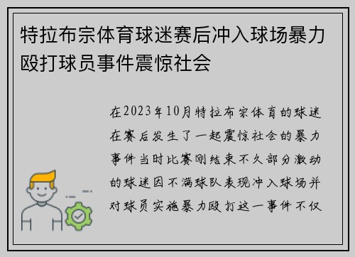 特拉布宗体育球迷赛后冲入球场暴力殴打球员事件震惊社会